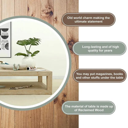 Artissance 39.4L Square Weathered White Washed Wood Indoor Peking Grand Framed Coffee Table - image 8