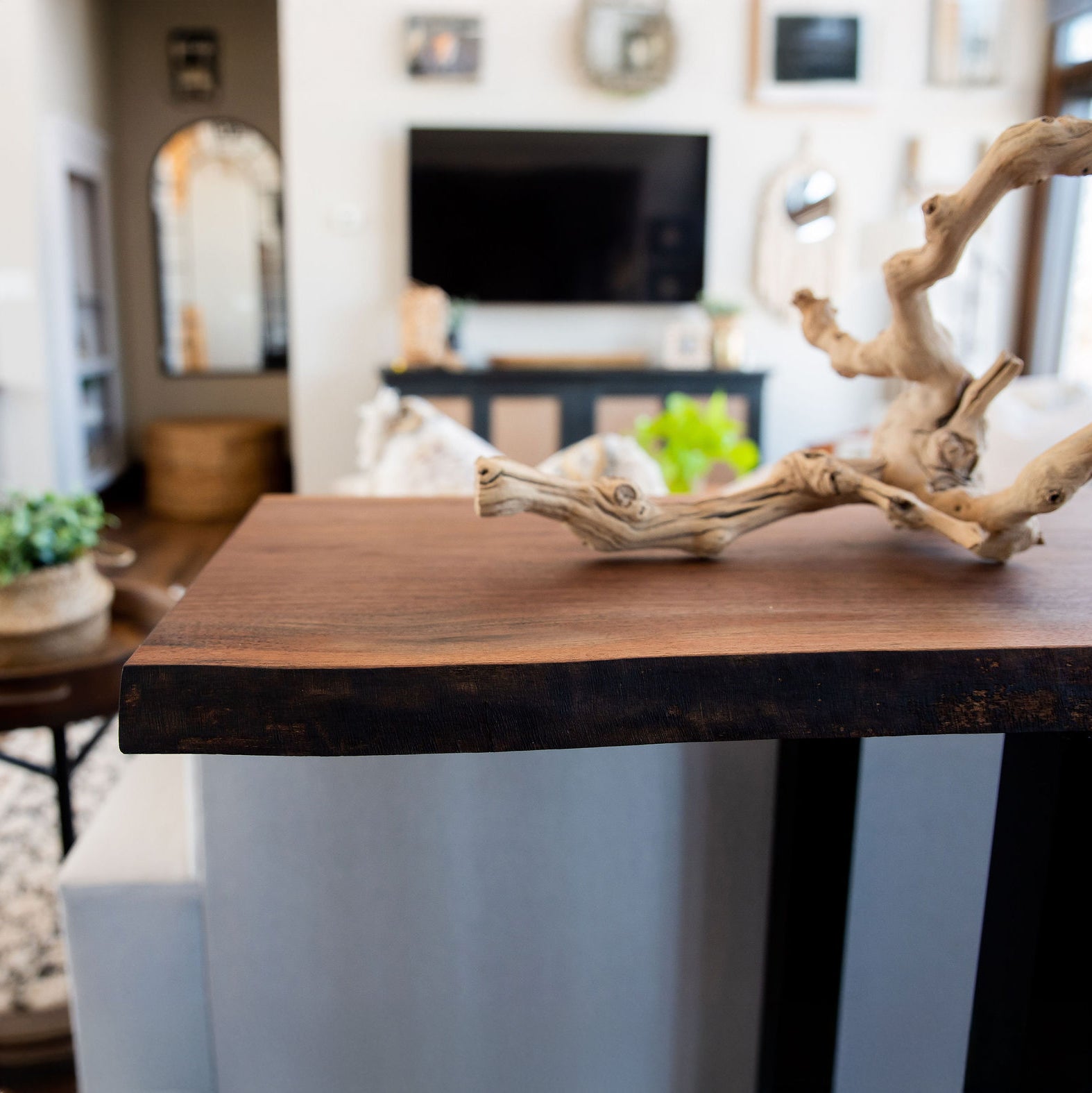 Live Edge Walnut Sofa Table With Modern Legs